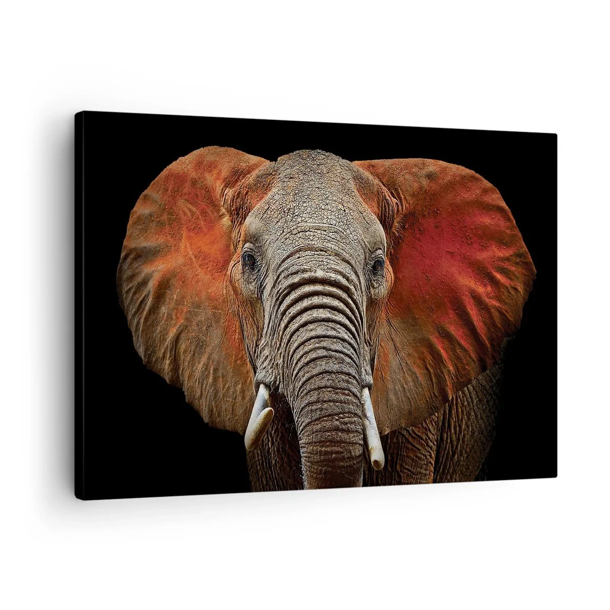 Impression sur toile - Image sur toile - Portrait d'un éléphant sur fond noir - 70x50cm - Je suis sauvage, et toi? - Décoration murale moderne pour le salon et la chambre ARTTOR