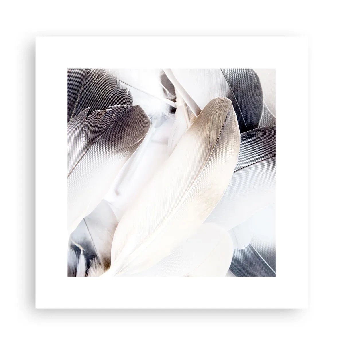 Affiche - Poster - Presque angélique - 30x30 cm