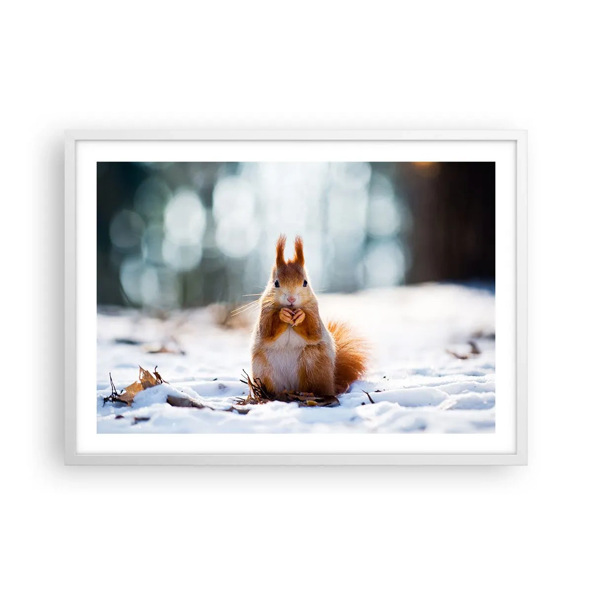 Affiche dans un cadre blanc - Poster - Qu'est ce que tu regardes comme ça? - 70x50 cm