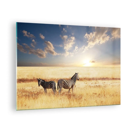 Impression sur verre - Image sur verre - Deux zèbres dans la savane au coucher du soleil - 70x50cm - Va-t'en, n'ai pas de paix - Décoration murale moderne pour le salon et la chambre ARTTOR