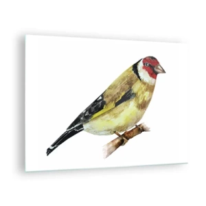 Impression sur verre - Image sur verre - Oiseau aquarelle sur une branche aux couleurs délicates - 70x50cm - Portrait d'oiseau - Décoration murale moderne pour le salon et la chambre ARTTOR