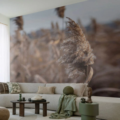 Papier Peint Photo Premium Sand - Il est temps de s'envoler avec le vent - Prairie, Herbe de la Pampa, Nature - 250x175 cm