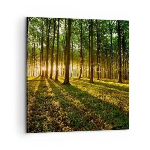 Impression sur toile - Image sur toile - Toutes les photographies de printemps - 60x60 cm