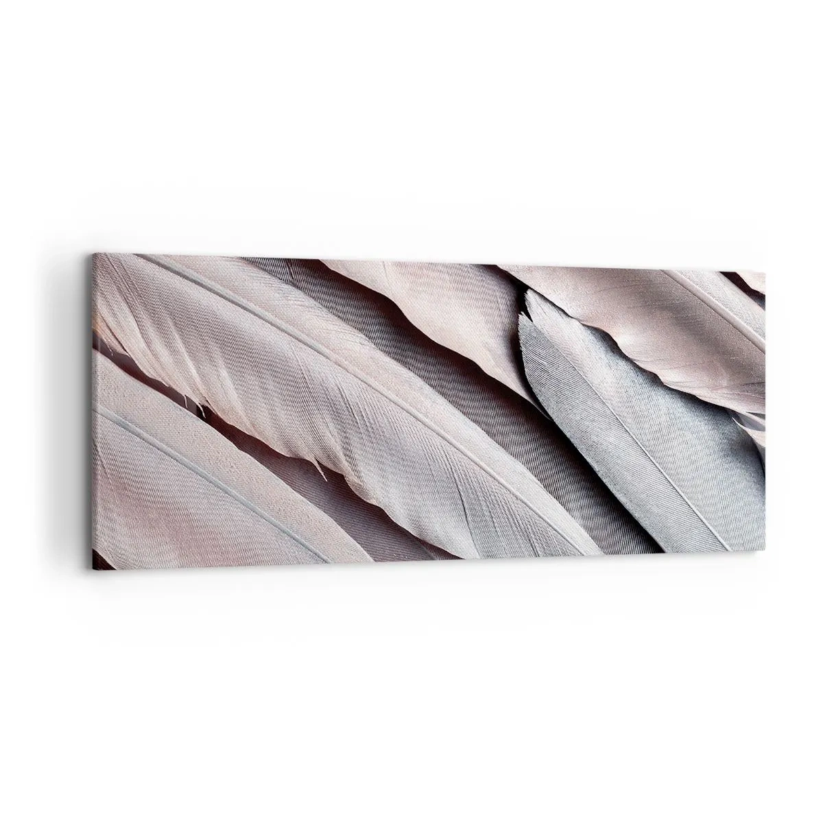 Impression sur toile - Image sur toile - Plumes délicates dans des tons subtils de gris et de beige - 120x50cm - En argent rose - Décoration murale moderne pour le salon et la chambre ARTTOR