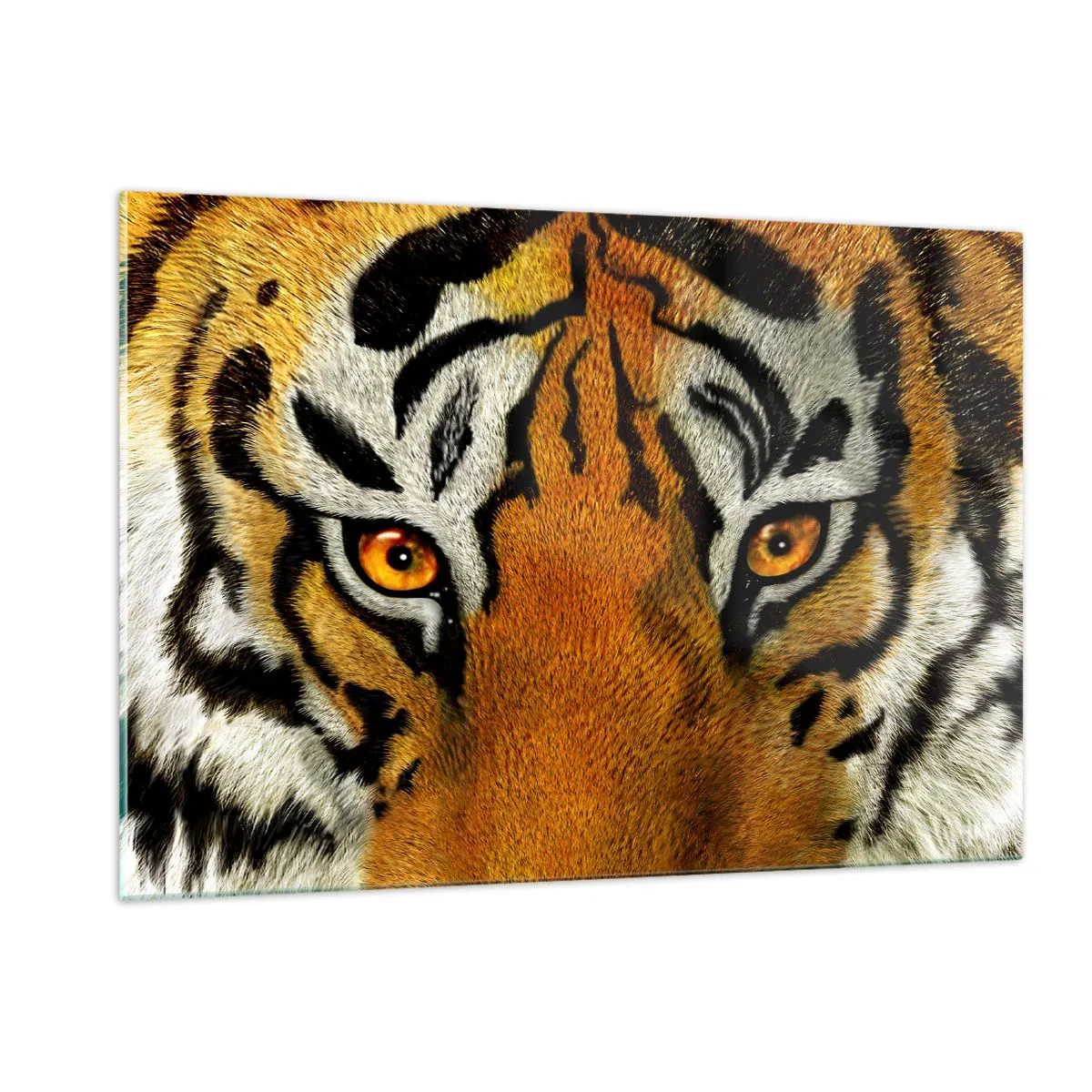 Impression sur verre - Image sur verre - Gros plan sur le regard intense du tigre - 120x80cm - Terrible et beau - Décoration murale moderne pour le salon et la chambre ARTTOR