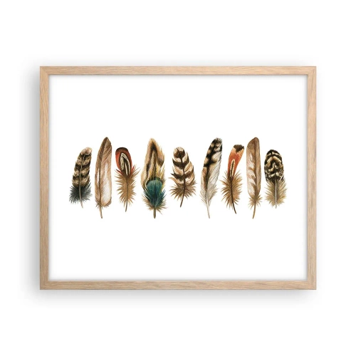 Affiche dans un chêne clair - Poster - Variation à plumes - 50x40 cm