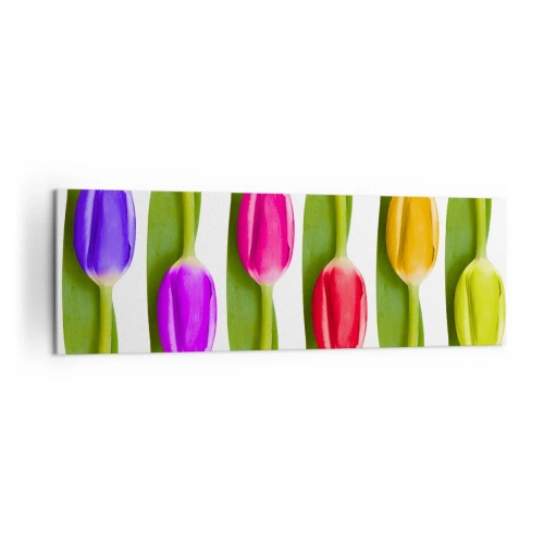 Impression sur toile - Image sur toile - Tulipes multicolores disposées en rangée sur fond blanc - 160x50cm - Composition arc-en-ciel - Décoration murale moderne pour le salon et la chambre ARTTOR
