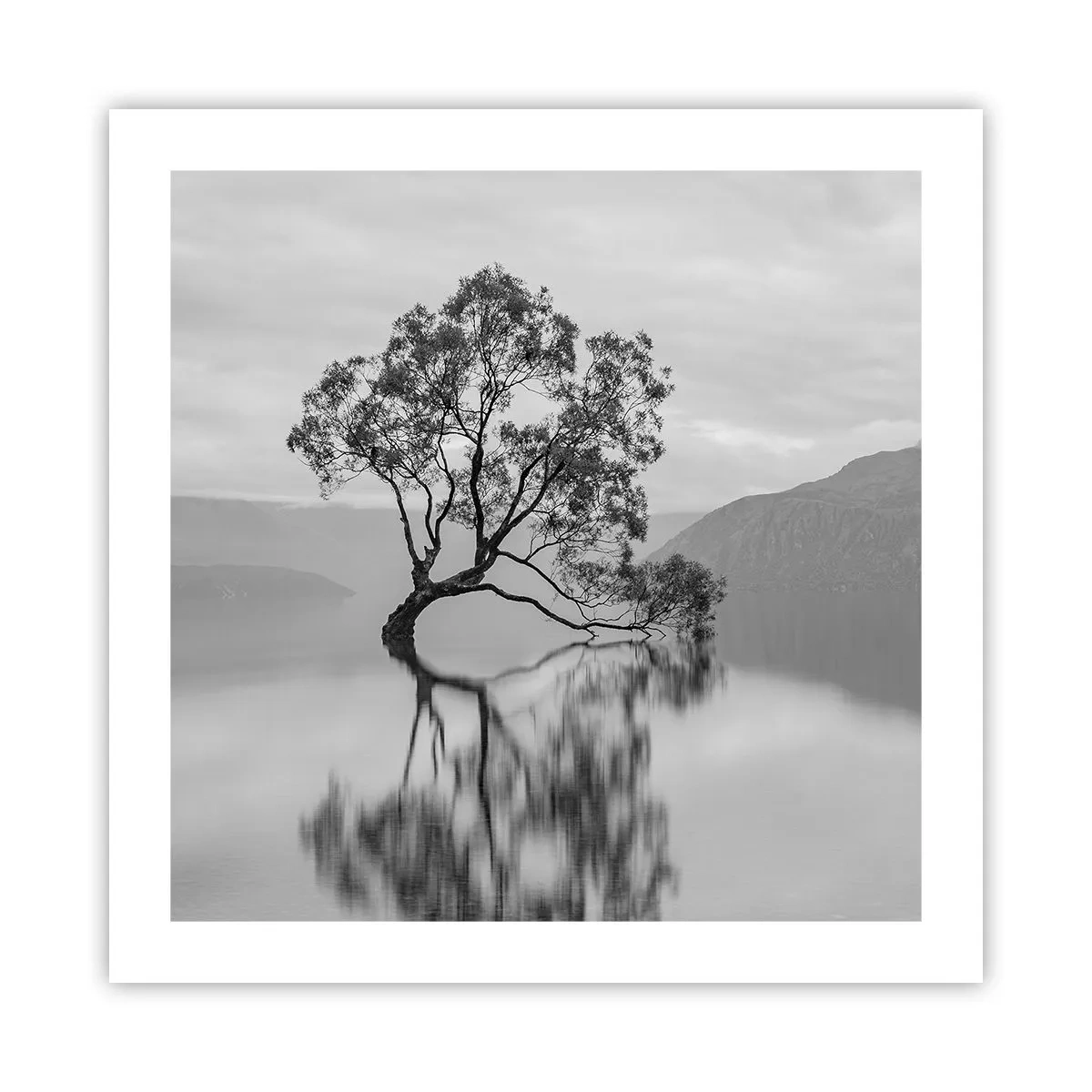 Affiche - Poster - Un tel pays existe - 50x50 cm