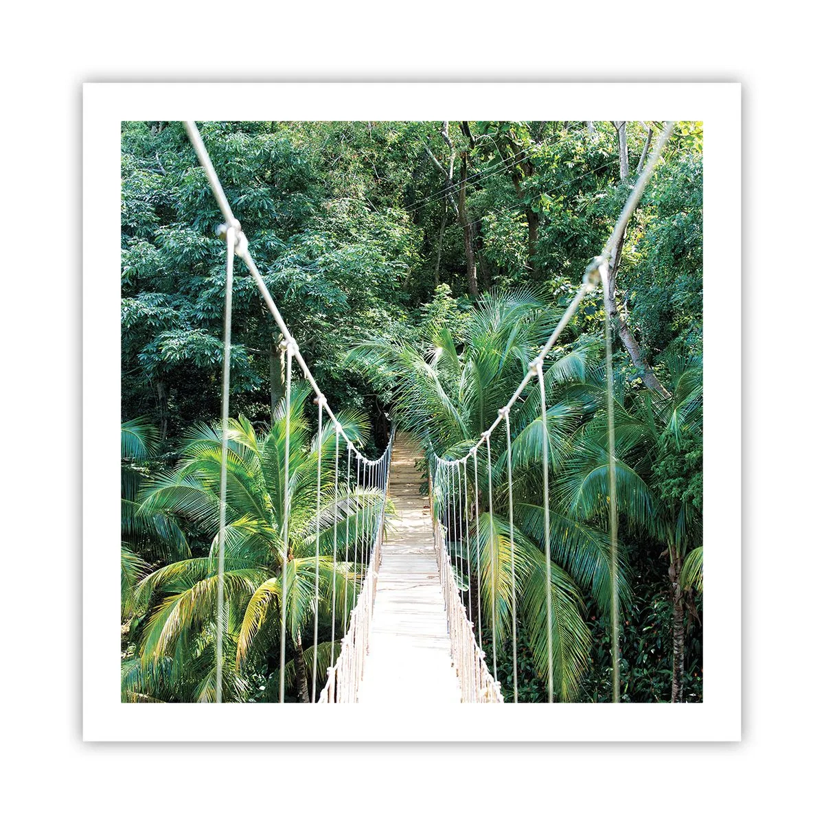 Affiche - Poster - Welcome to the jungle! - 60x60 cm