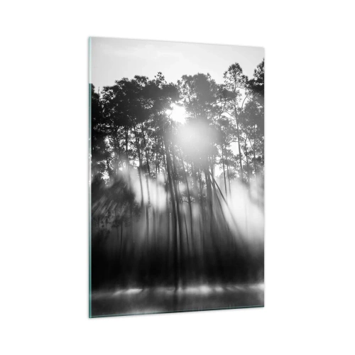 Impression sur verre - Image sur verre - Arbres noirs et blancs dans une forêt avec des rayons de soleil dans la brume - 50x70cm - Soleil inarrêtable - Décoration murale moderne pour le salon et la chambre ARTTOR