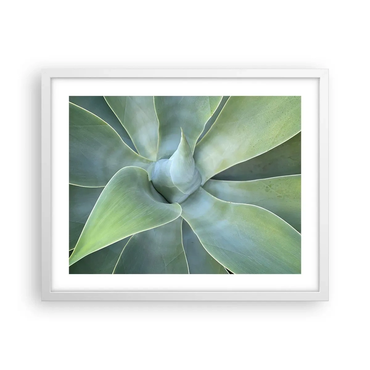 Affiche dans un cadre blanc - Poster - La naissance de la verdure - 50x40 cm