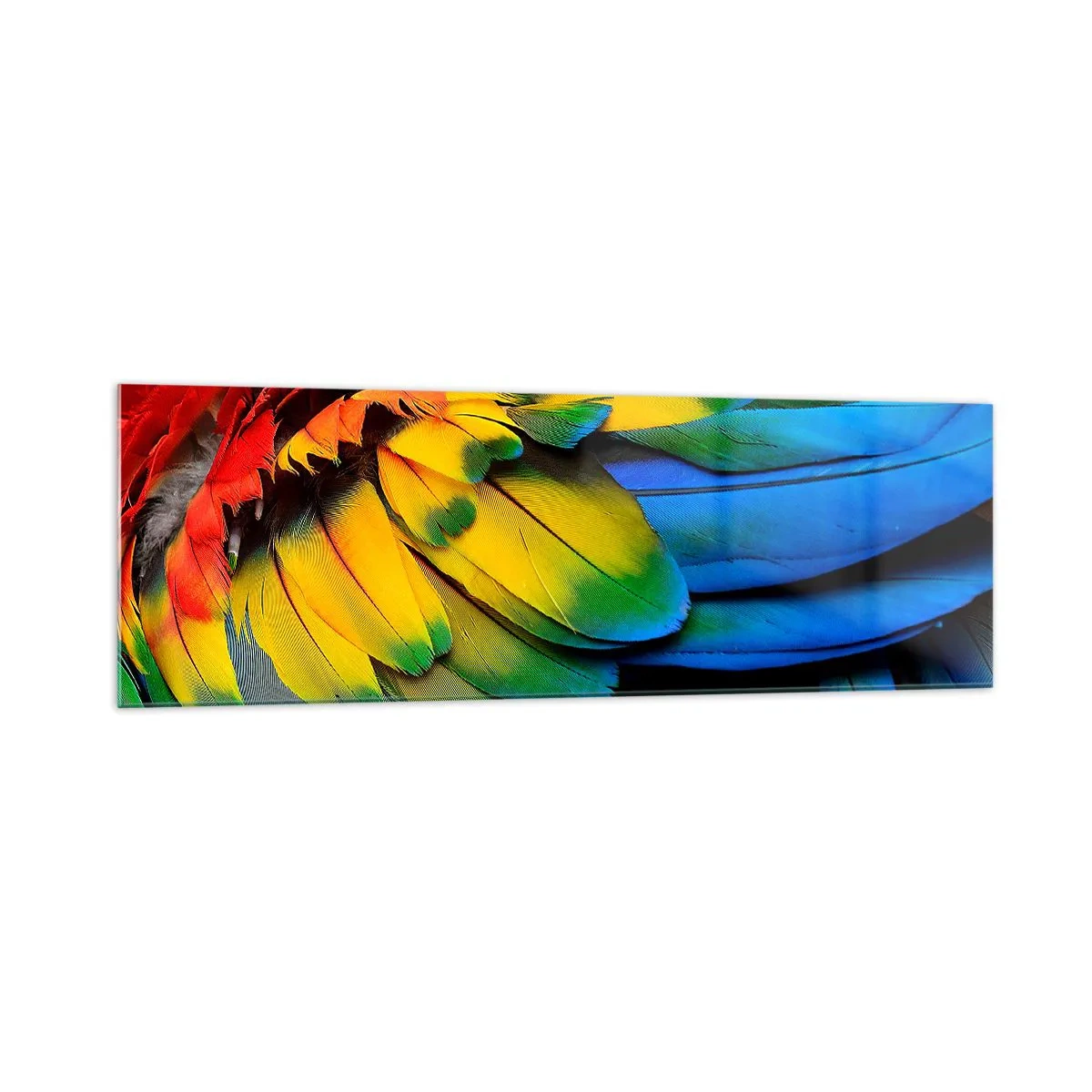 Impression sur verre - Image sur verre - Gros plan des plumes colorées d'un perroquet - 160x50cm - Oiseau de paradis - Décoration murale moderne pour le salon et la chambre ARTTOR