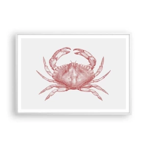 Affiche dans un cadre blanc - Poster - Le crabe des crabes - 100x70 cm