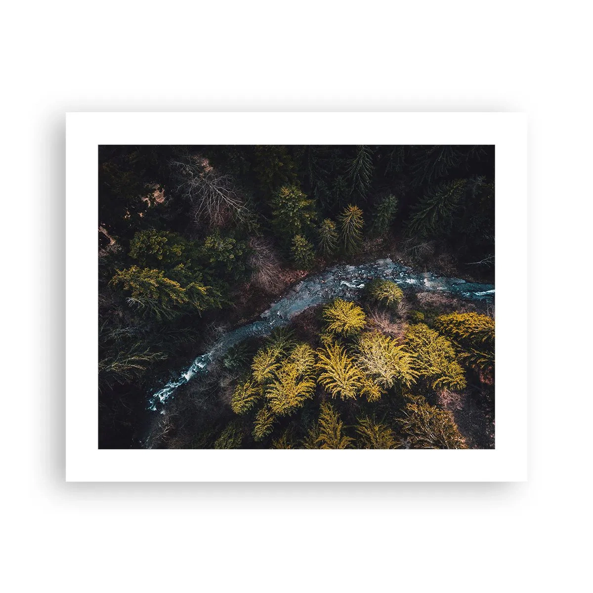 Affiche - Poster - De plus en plus vite - 50x40 cm