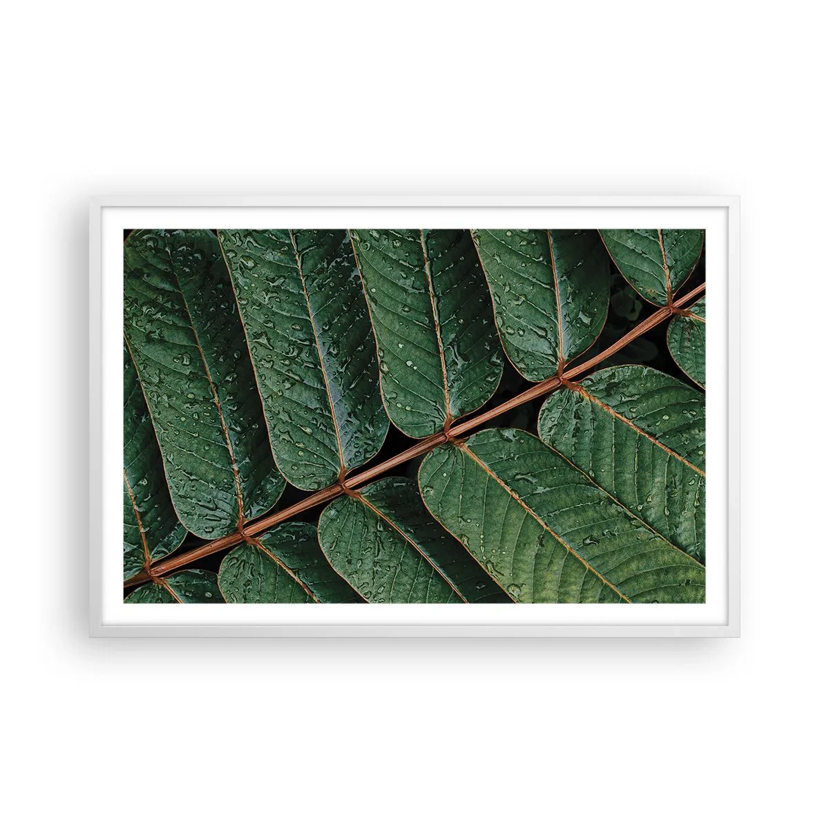 Affiche dans un cadre blanc - Poster - Au rythme de la verdure - 91x61 cm