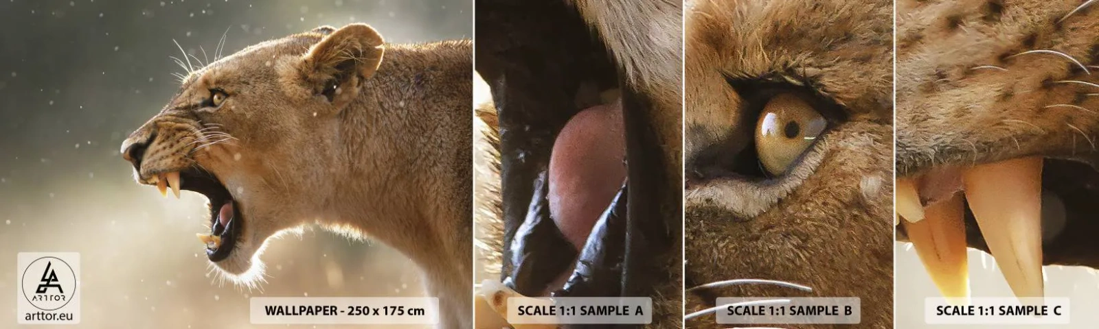 Échantillon de Papier Peint Autocollant Deluxe Sticker - Essayez  de ne pas écouter - Animaux, Lion, Afrique - 100x30 cm