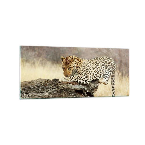 Impression sur verre - Image sur verre - Un léopard se reposant sur un tronc d'arbre dans la savane - 120x50cm - Je suis ma propre route - Décoration murale moderne pour le salon et la chambre ARTTOR