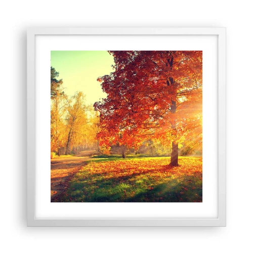 Affiche dans un cadre blanc - Poster - Le roux est beau - 40x40 cm