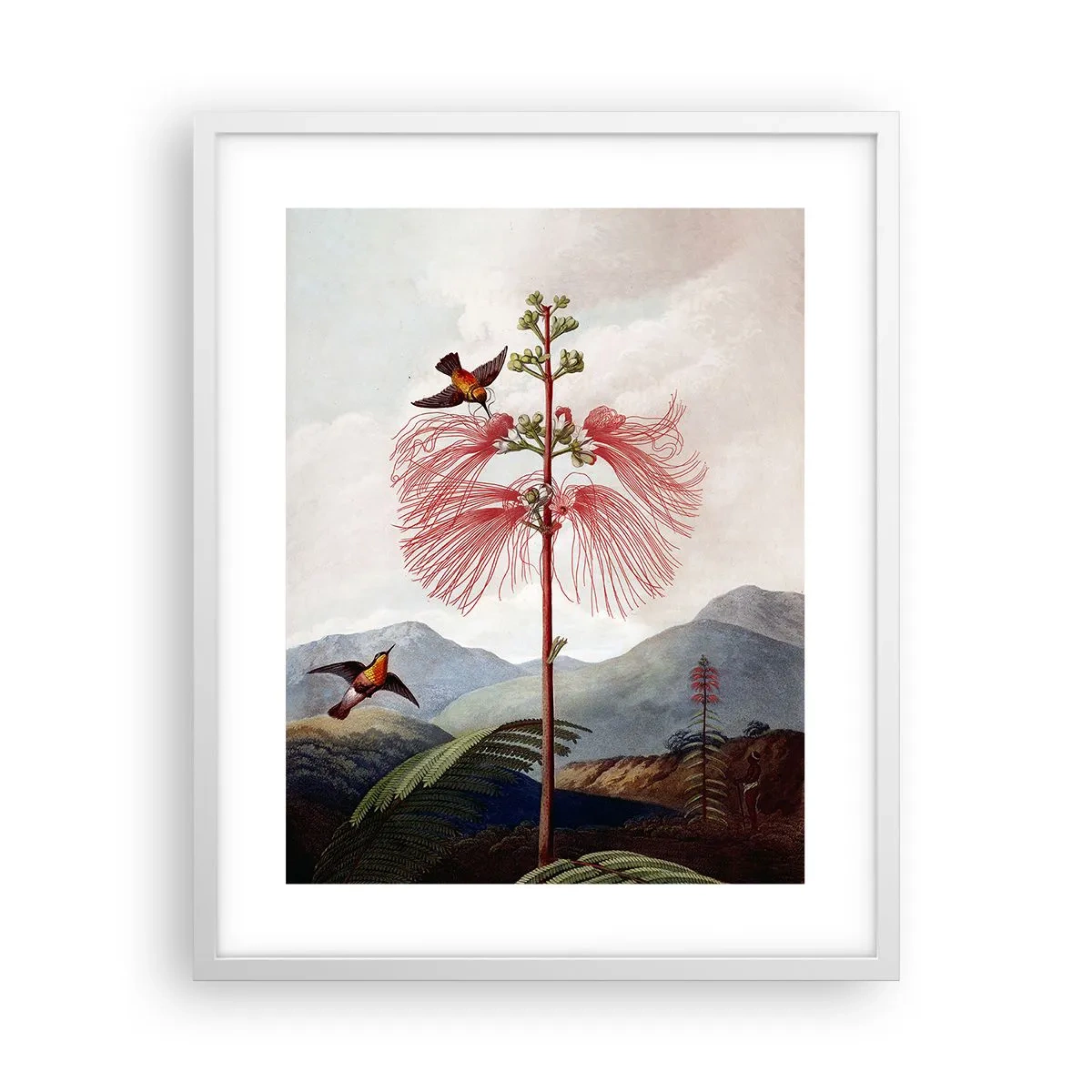 Affiche dans un cadre blanc - Poster - Dans un paradis tropical - 40x50 cm