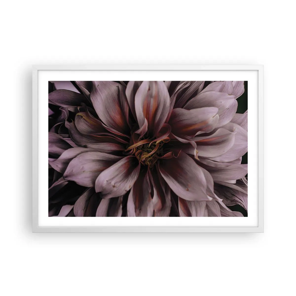 Affiche dans un cadre blanc - Poster - Un coeur fleuri - 70x50 cm