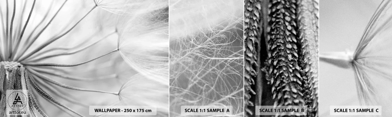 Échantillon De Papier Peint Standard Eco - Aigrette avant son envol - Minimalisme, Délicat, Fleur - 100x30 cm