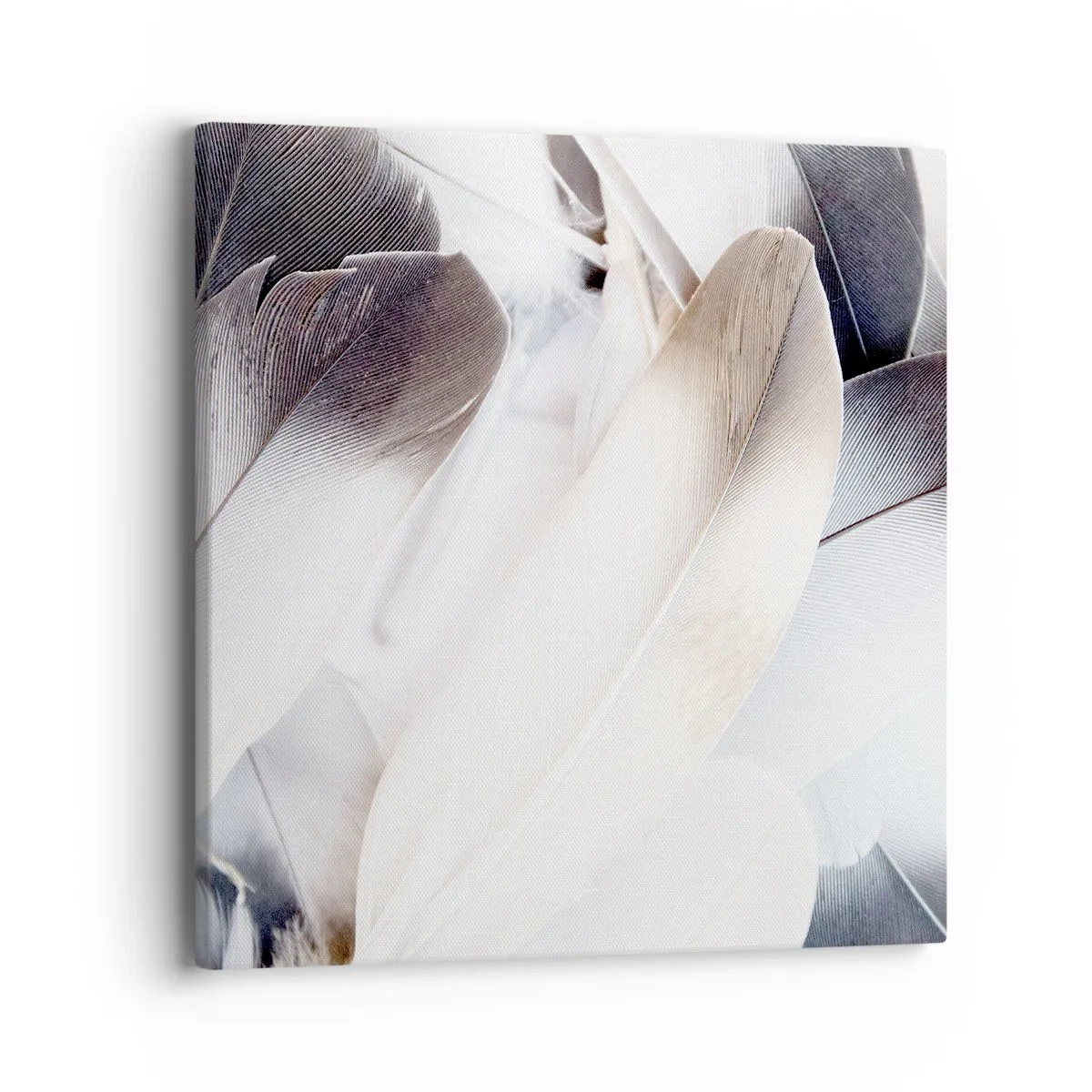 Impression sur toile - Image sur toile - Presque angélique - 40x40 cm