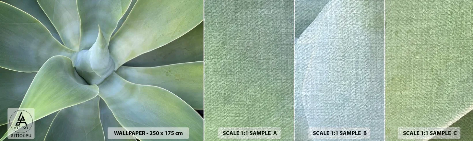 Échantillon de Papier Peint Premium Canvas - La naissance de la verdure - Succulent, Agave, Botanique - 100x30 cm