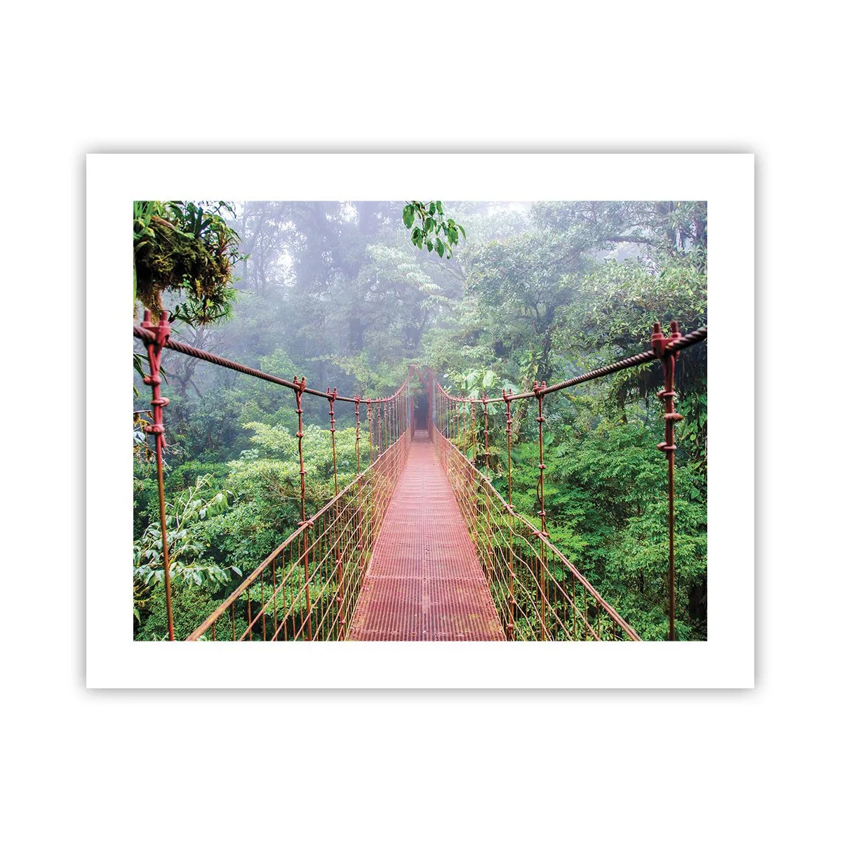 Affiche - Poster - Suspendu sur les couronnes - 50x40 cm