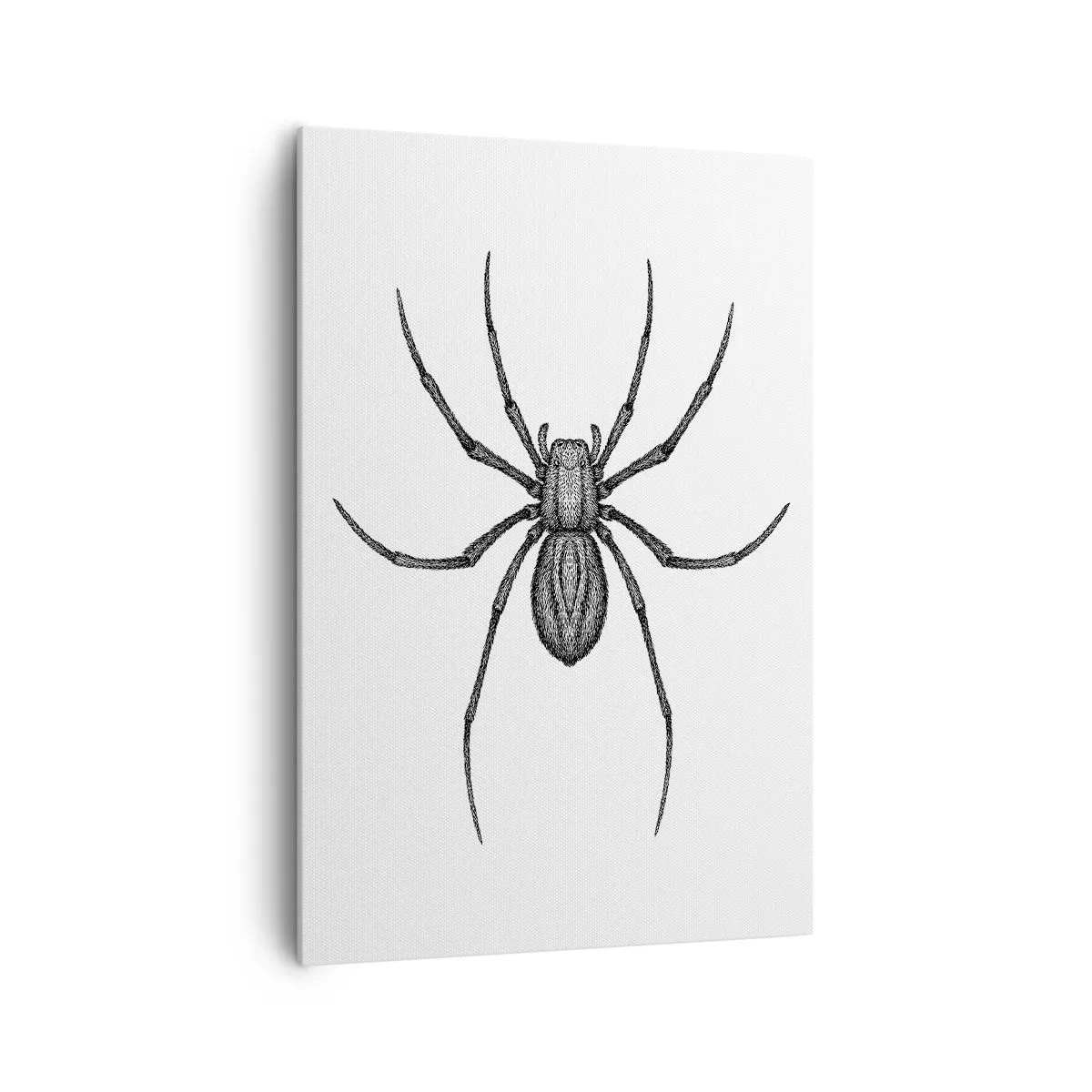 Impression sur toile - Image sur toile - Détail d'une araignée sur fond blanc dans un style dessin animé - 70x100cm - Une précision troublante - Décoration murale moderne pour le salon et la chambre ARTTOR