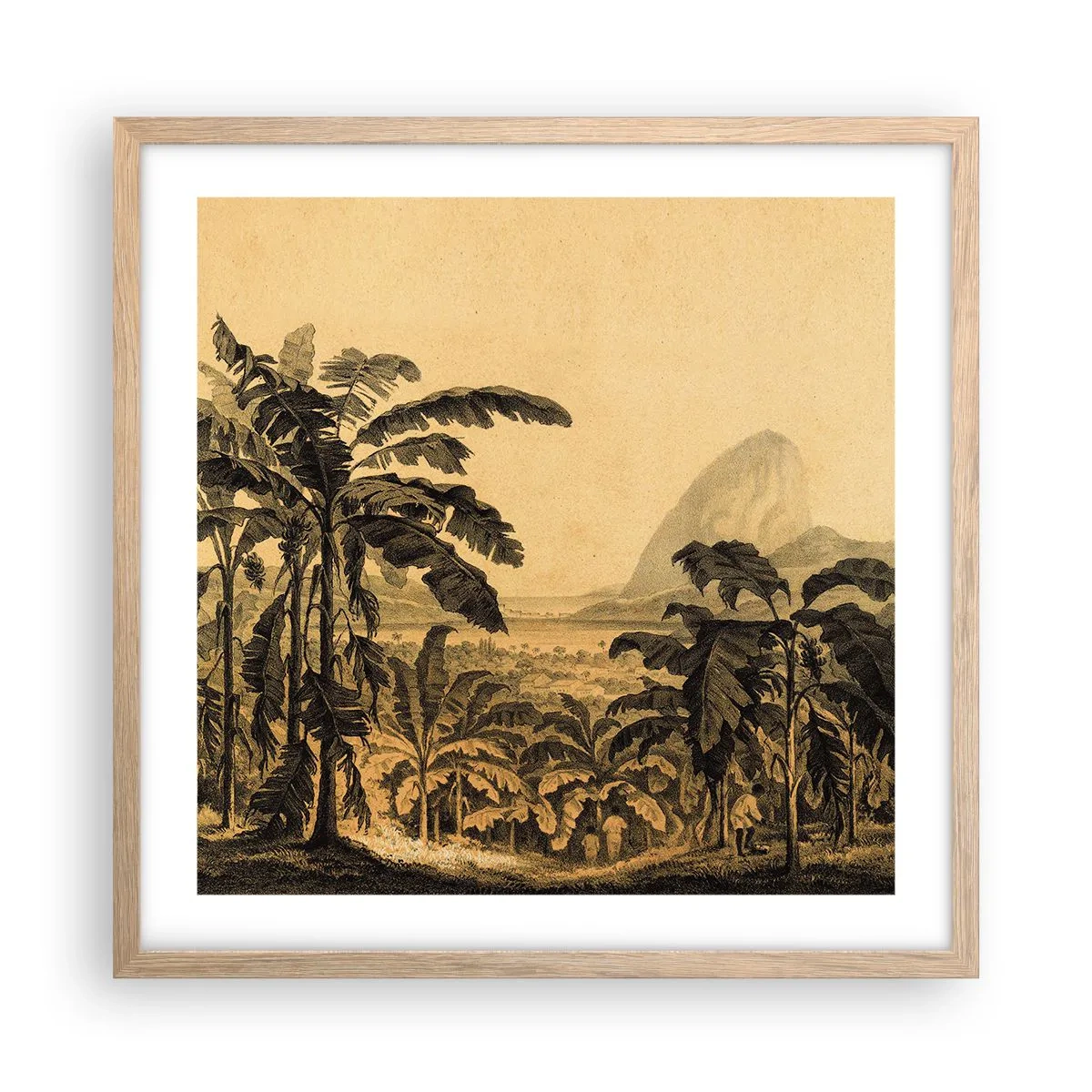 Affiche dans un chêne clair - Poster - Dans un climat colonial - 50x50 cm
