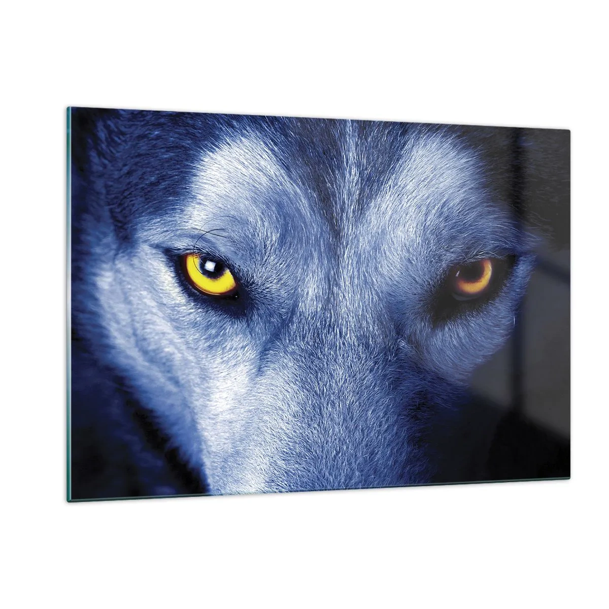 Impression sur verre - Image sur verre - Le regard envoûtant d'un loup - 120x80cm - Regars hypnotique - Décoration murale moderne pour le salon et la chambre ARTTOR