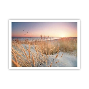 Affiche - Poster - Plage au coucher du soleil avec de hautes herbes - 100x70cm - Berceuse baltique - Décoration murale moderne pour le salon et la chambre ARTTOR