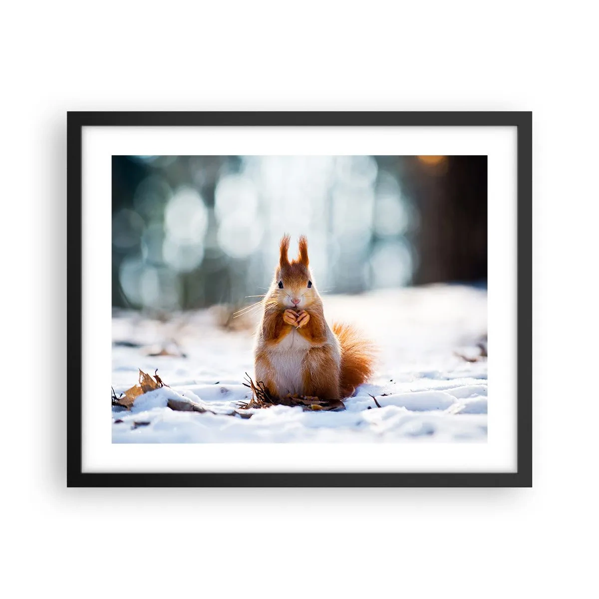 Affiche dans un cadre noir - Poster - Qu'est ce que tu regardes comme ça? - 50x40 cm