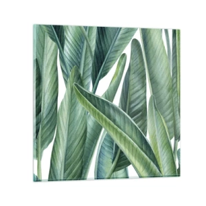 Impression sur verre - Image sur verre - La nature face à elle-même - 50x50 cm