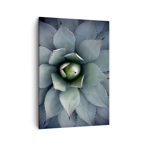 Impression sur toile - Image sur toile - Gros plan d'une rosette d'agave aux délicates nuances de vert - 50x70cm - Wabi et observe - Décoration murale moderne pour le salon et la chambre ARTTOR
