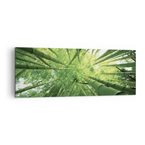 Impression sur toile - Image sur toile - Vue à travers une bambouseraie verte - 140x50cm - Dans une bambouseraie - Décoration murale moderne pour le salon et la chambre ARTTOR