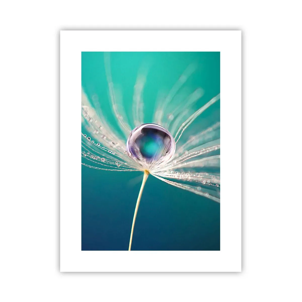 Affiche - Poster - Moment mystique - 30x40 cm