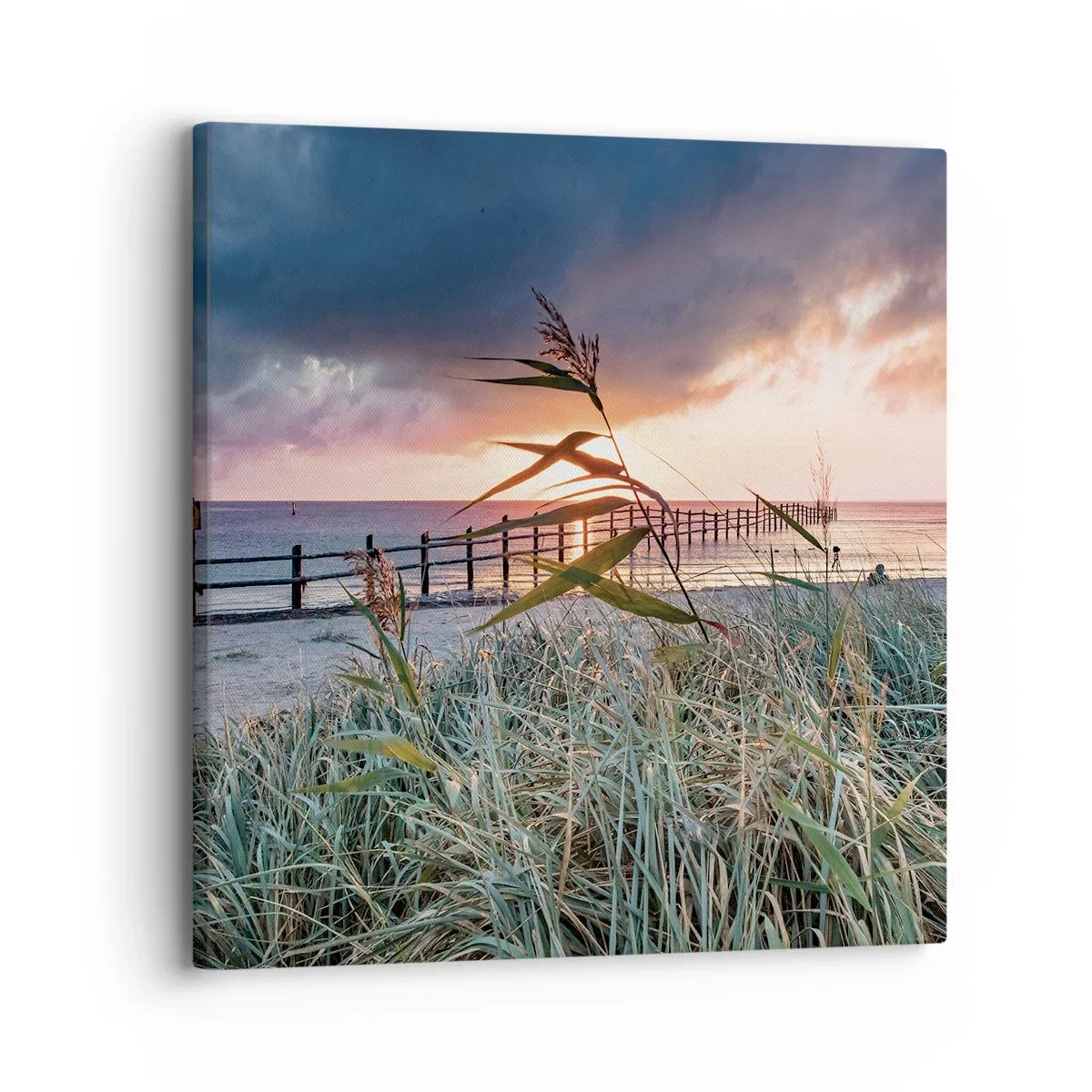 Impression sur toile - Image sur toile - Ça ne passe pas avec le vent - 30x30 cm