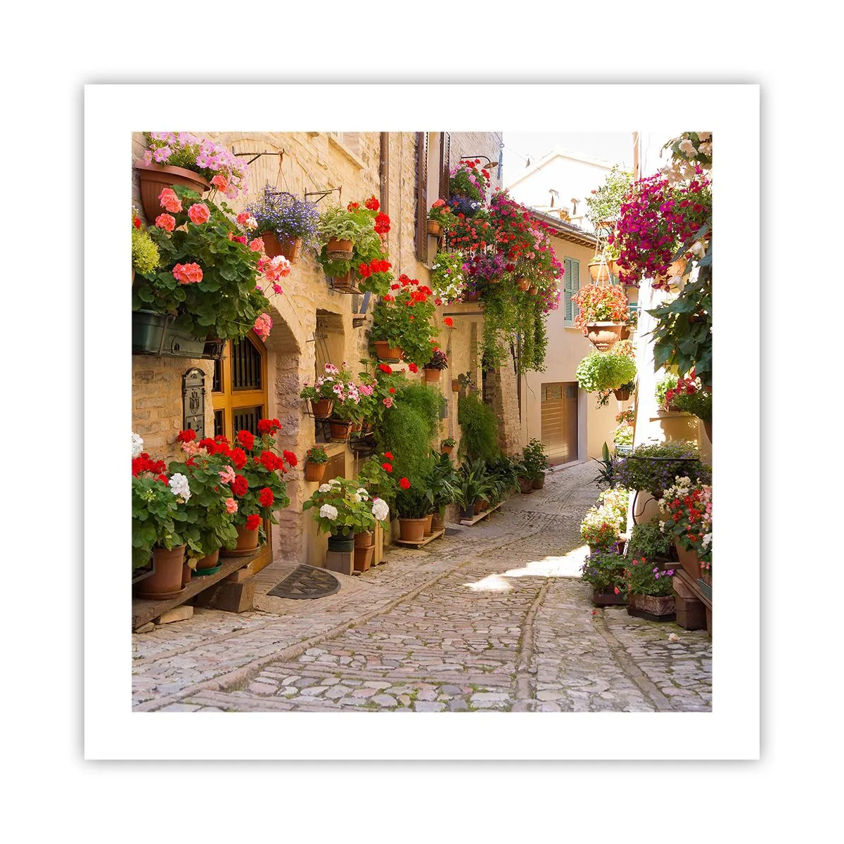 Affiche - Poster - Une inondation de fleurs - 50x50 cm