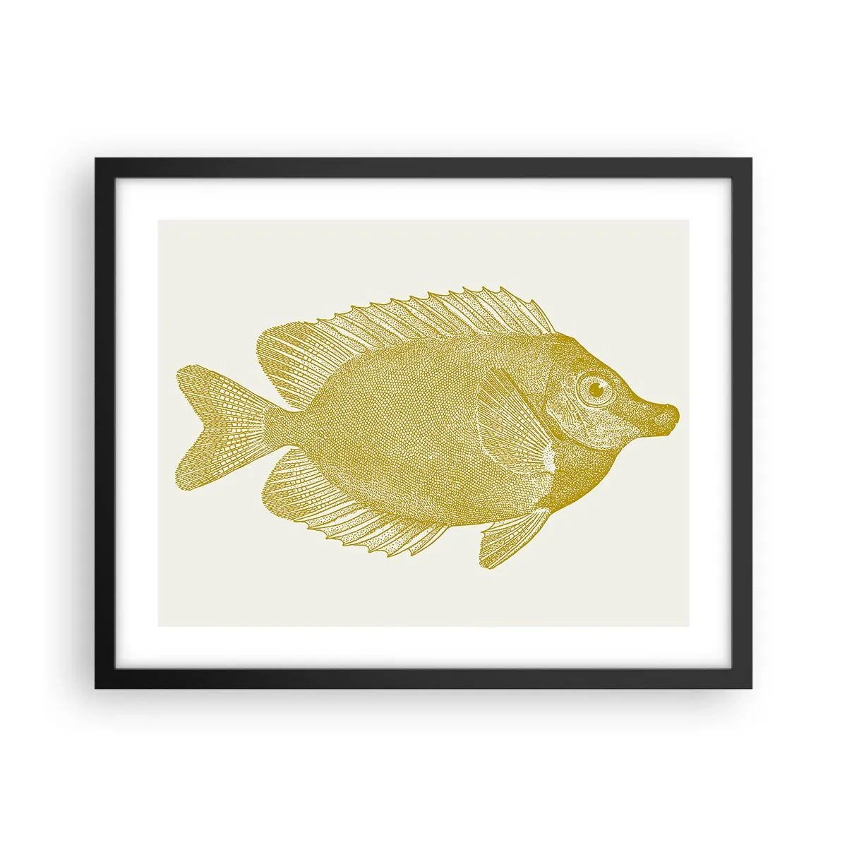 Affiche dans un cadre noir - Poster - Du poisson et c'est tout - 50x40 cm