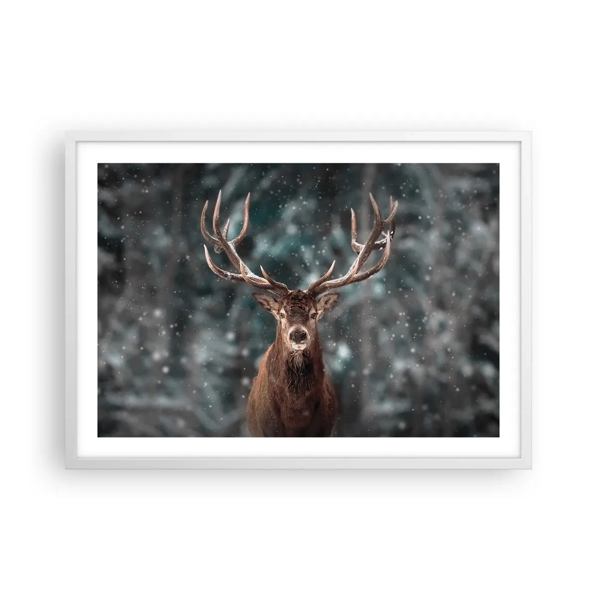 Affiche dans un cadre blanc - Poster - Roi de la forêt couronné - 70x50 cm