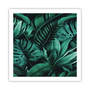 Affiche - Poster - Profondeur du vert tropical - 60x60 cm