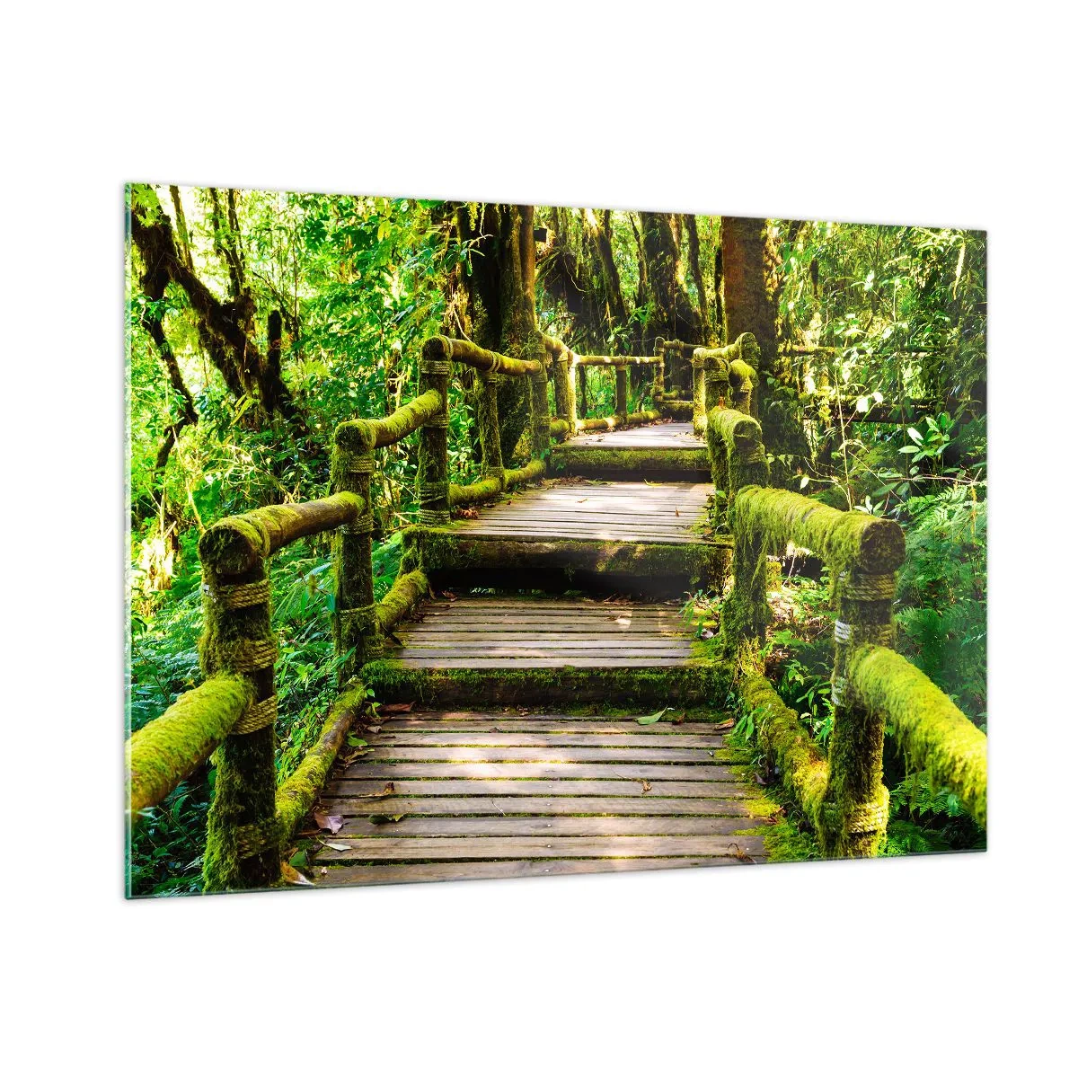 Impression sur verre - Image sur verre - Un chemin en bois dans une forêt verte couverte de mousse - 100x70cm - Un couloir de verdure - Décoration murale moderne pour le salon et la chambre ARTTOR