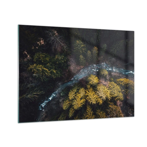 Impression sur verre - Image sur verre - Vue aérienne d'un paysage forestier avec un ruisseau sinueux - 70x50cm - De plus en plus vite - Décoration murale moderne pour le salon et la chambre ARTTOR