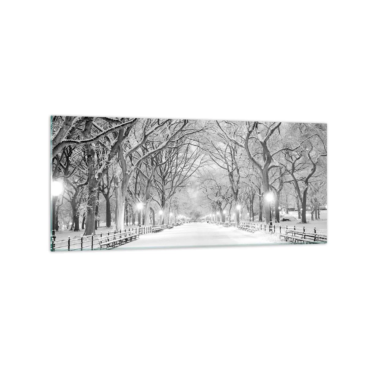 Impression sur verre - Image sur verre - Une allée d'hiver avec des arbres enneigés en monochrome - 120x50cm - Les quatres saisons – l’hiver - Décoration murale moderne pour le salon et la chambre ARTTOR