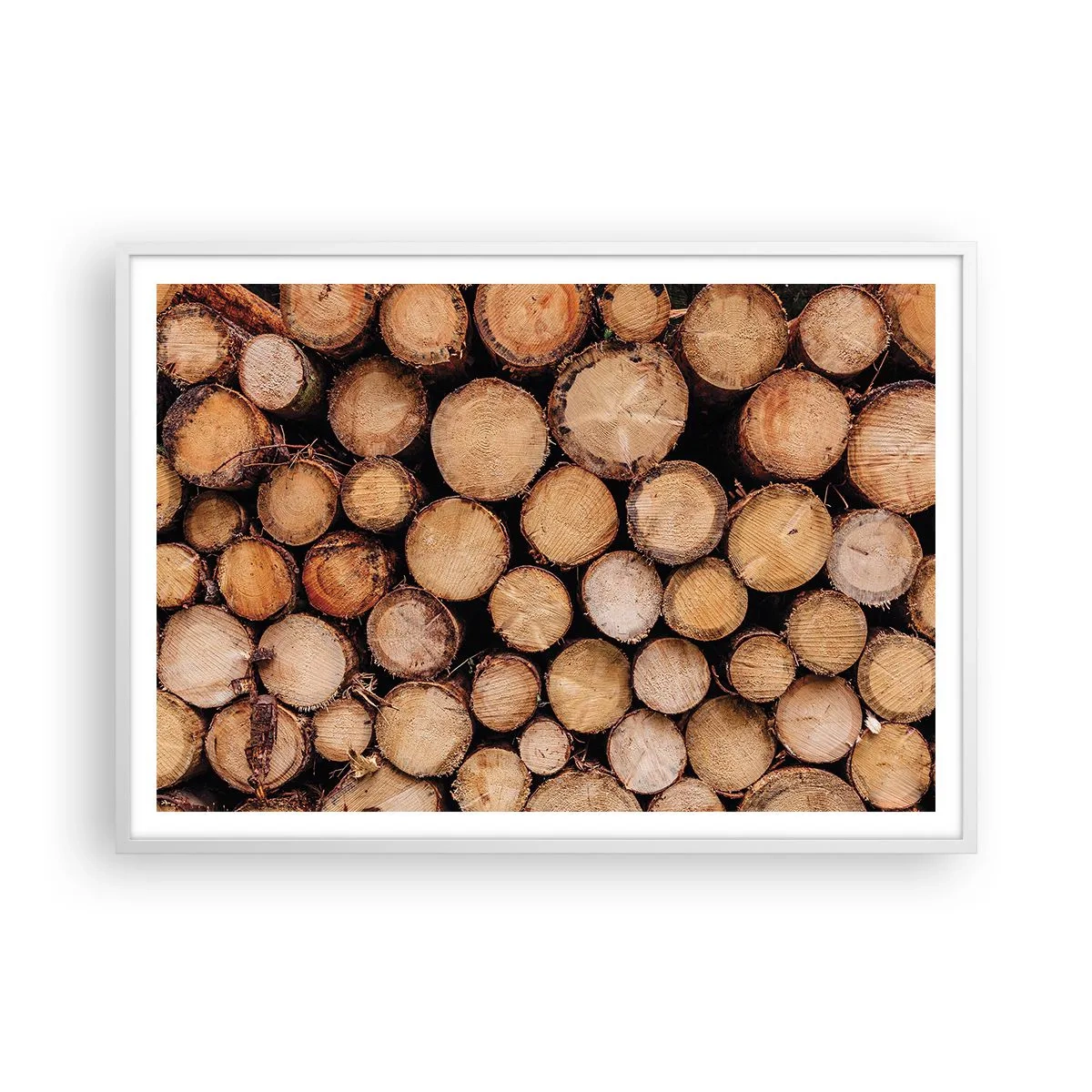 Affiche dans un cadre blanc - Poster - Nouveau commencement - 100x70 cm