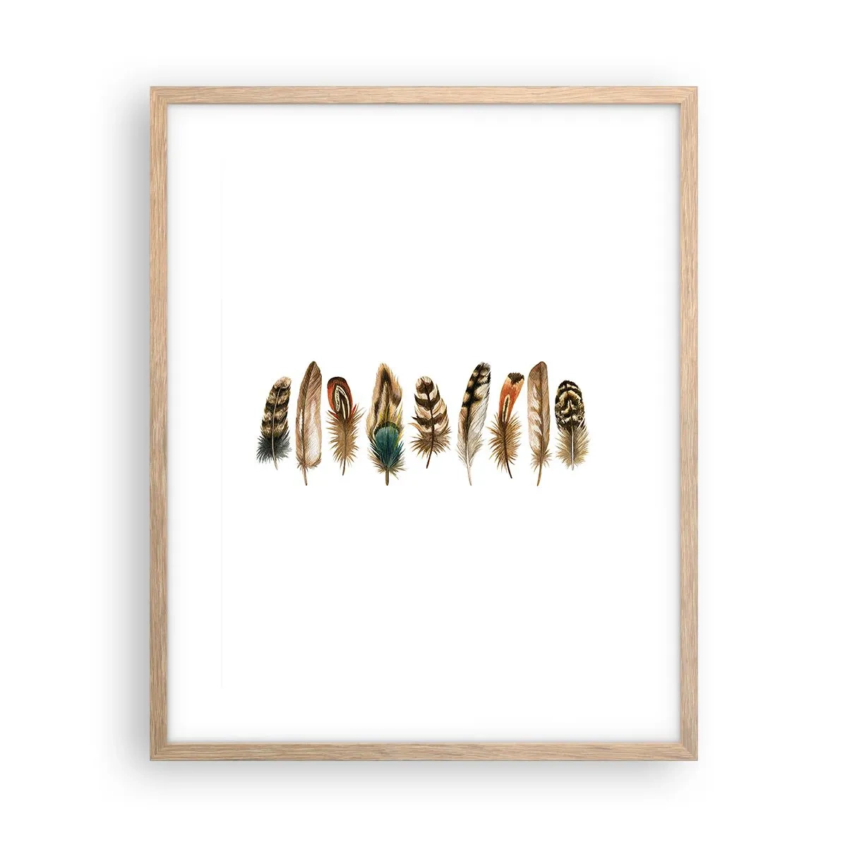 Affiche dans un chêne clair - Poster - Variation à plumes - 40x50 cm