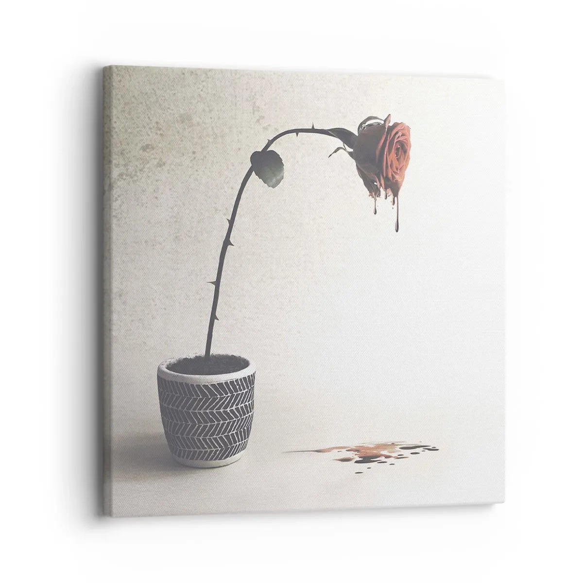 Impression sur toile - Image sur toile - Rosa dolorosa - 30x30 cm