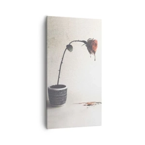 Impression sur toile - Image sur toile - Rosa dolorosa - 55x100 cm