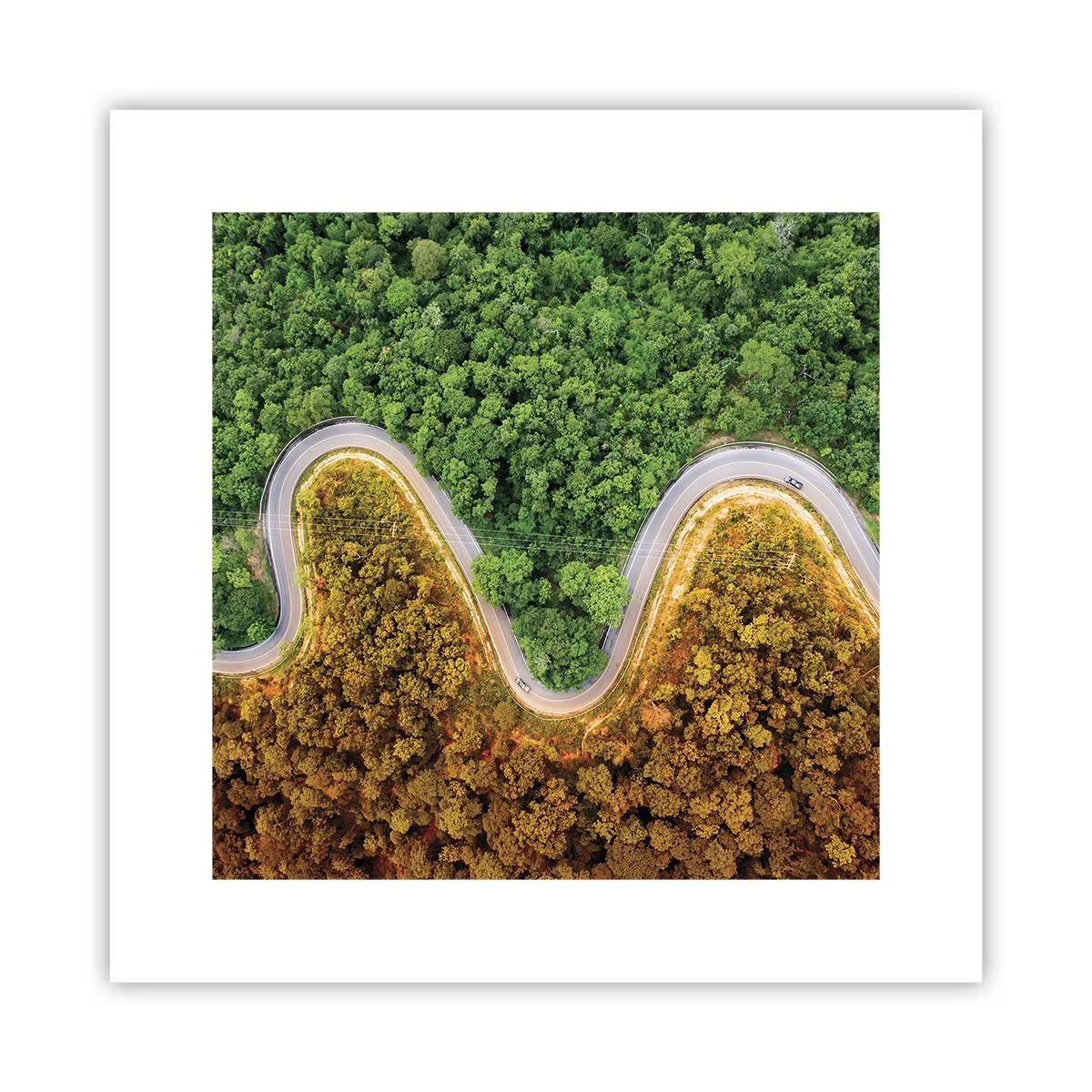 Affiche - Poster - Frontieres et differences - 30x30 cm